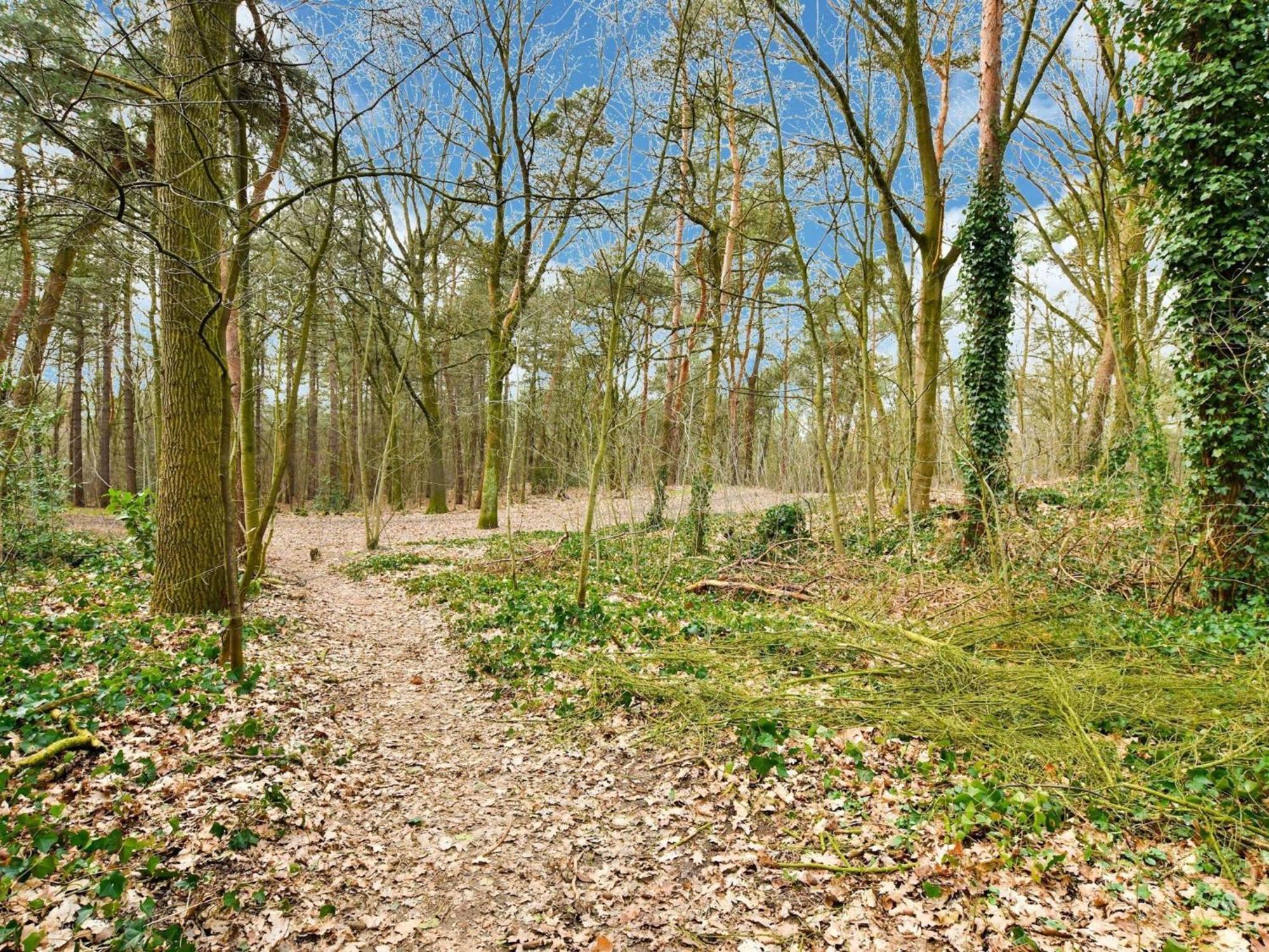 Stille Wille B13 Meijel Exteriér fotografie